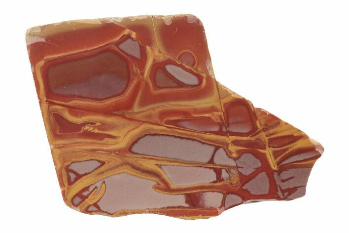Polished Noreena Jasper Section - Australia #239583